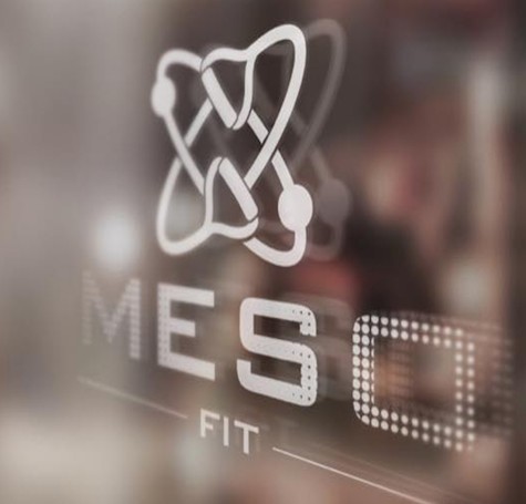 Meso Fit – Logo